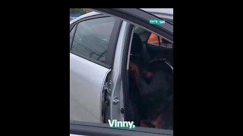 Dog acting funny😂❤️..Must watch