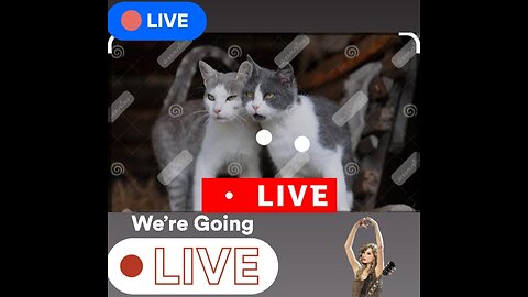 CAT Videos || Cat Lovers🔴🔴🔴|| Cat pets🔴🔴🔴 || LOVE YOUR PETS AND LIVE LONG 🔴🔴🔴