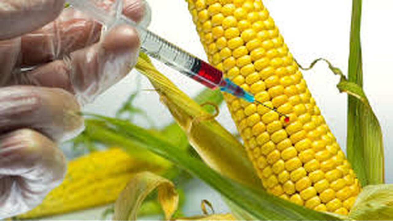 GMO: Seeds of Destruction