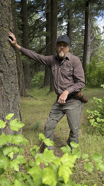 Who I am outofthewild3d.com