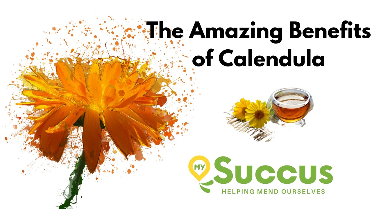 The Amazing Benefits of Calendula