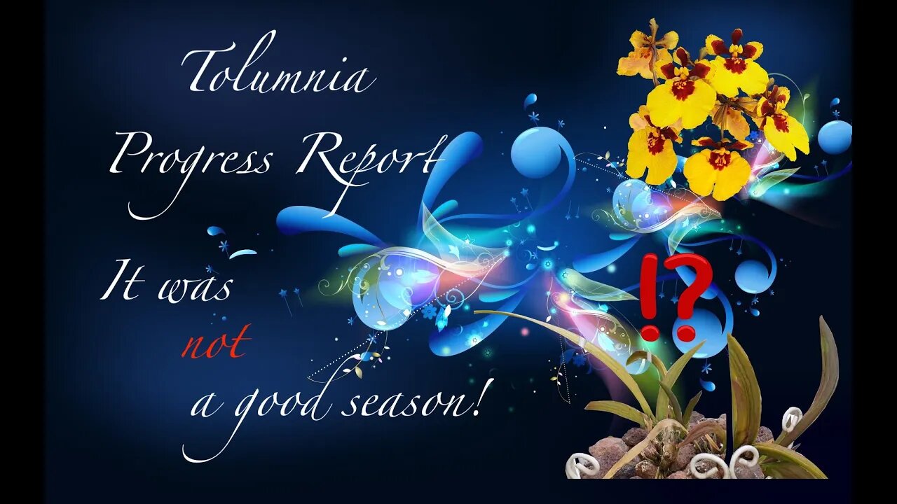TOLUMNIA STRUGGLES | GETTING THE CARE WRONG 2020 👍🏼👎🏼🤷🏼♀️