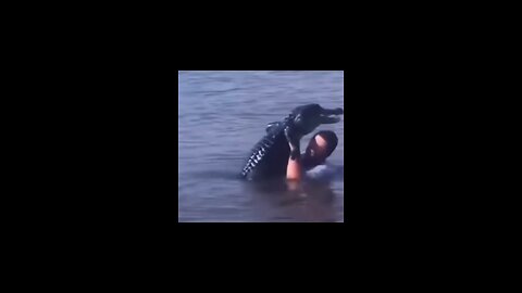 Best Funny Video