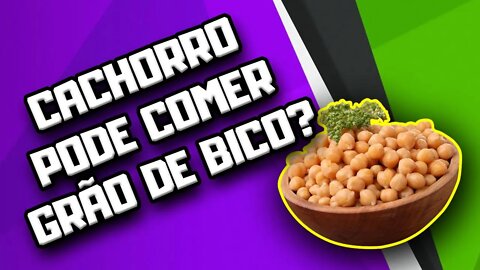 Cachorro pode comer Grão de Bico? | Dr. Edgard Gomes | Alimentação natural para Cães