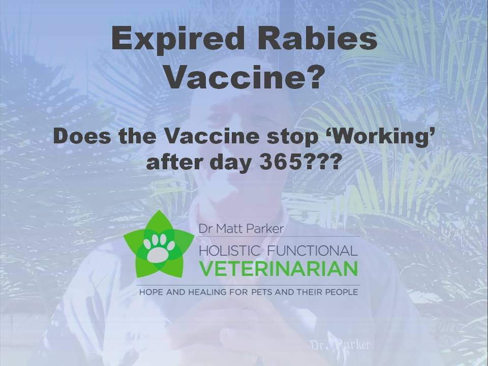 Expired Rabies Vaccine?