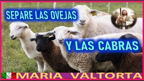 SEPARE LAS OVEJAS Y LAS CABRAS - MENSAJE DE JESUCRISTO REY EL EVANGELIO POR MARIA VALTORTA