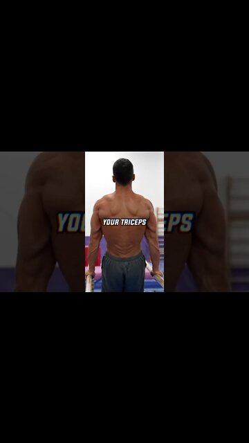 How Gymnasts Have Such Big TRICEPS?