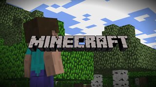 New World - Minecraft Animation