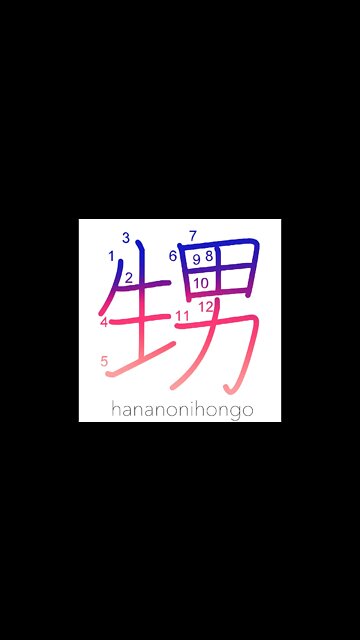 甥 - nephew - Learn how to write Japanese Kanji 甥 - hananonihongo.com
