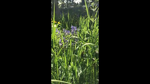 On a mid spring day 🌼 UK