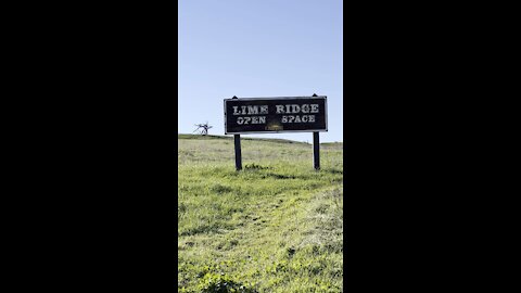 Lime Ridge Concord