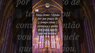 João 7,33 - Disse Jesus: “Ainda por um pouco de tempo estou convosco e então vou para aquele que me