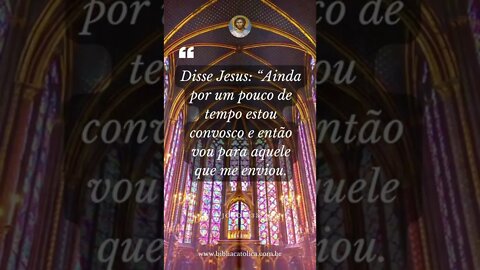 João 7,33 - Disse Jesus: “Ainda por um pouco de tempo estou convosco e então vou para aquele que me