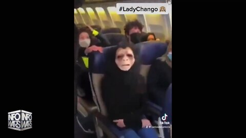 HIGHLIGHTS - Woman Who Identifies As Masked Ape Removed From Plane By Zombies