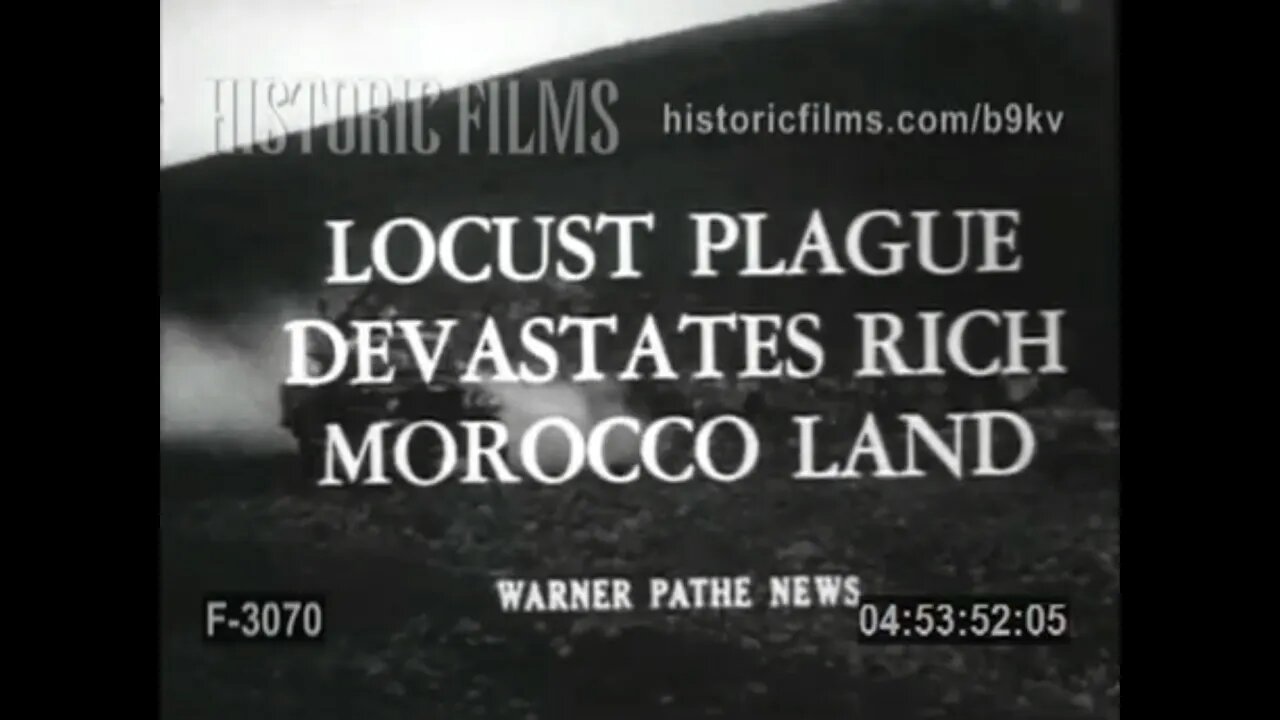 Carbon Sins Causing Locust Plague