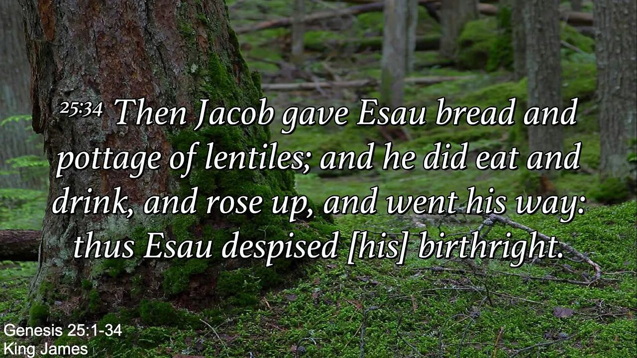 Sunday Evening, August 28th - The Making of a Bad Decision