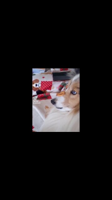 Emma Lets Me Do This TO Her! #shorts , #fyp