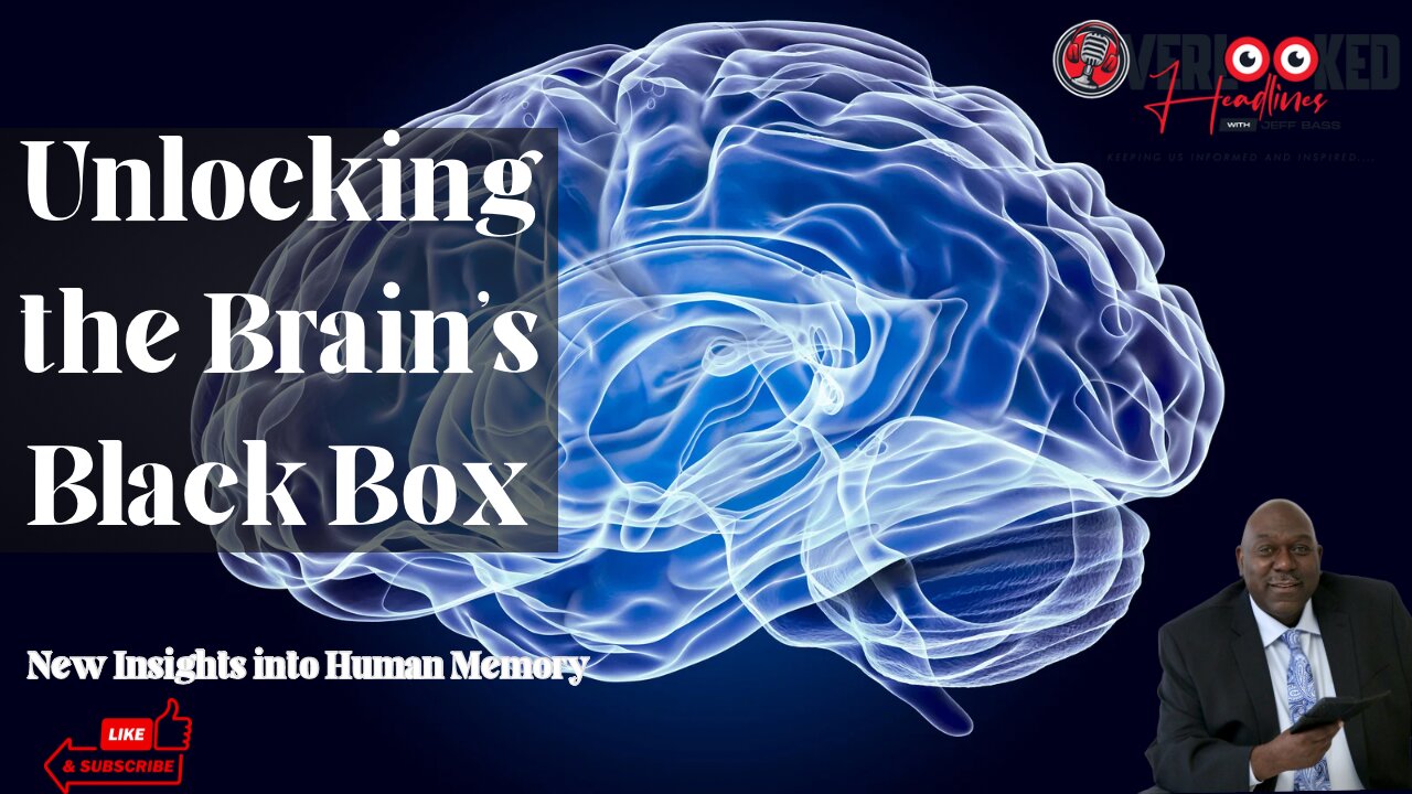 Unlocking the Brain's Black Box: New Insights into Human Memory