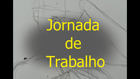 Jornada de Trabalho