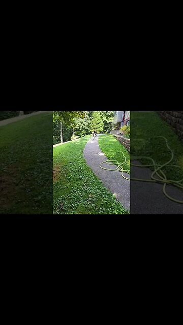 Crazy Dog Reunites With Owner. #Shorts