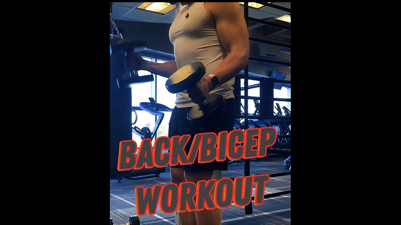 Back/Bicep Workout for beginners