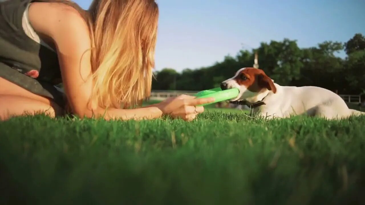 young woman playing with little cute jack russel terrier in park, slow motion (3)