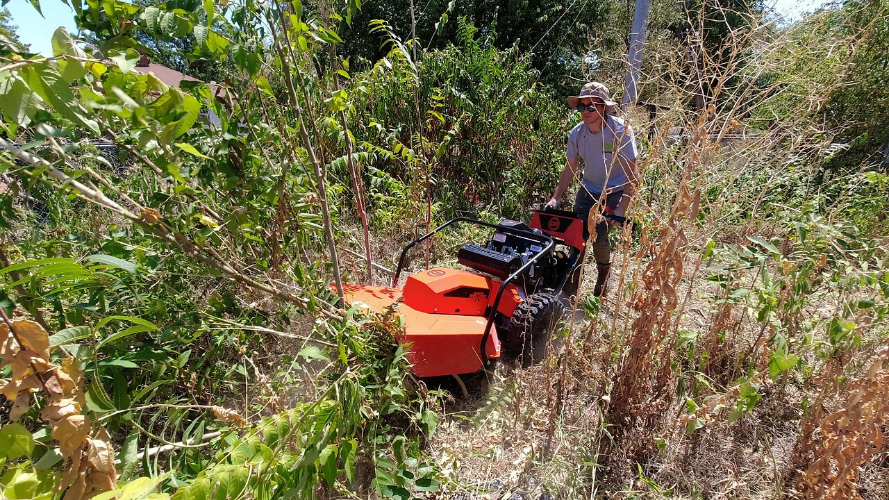 Homeowner almost CRIES and said she had NO money so I CUT her 8ft tall grass for FREE