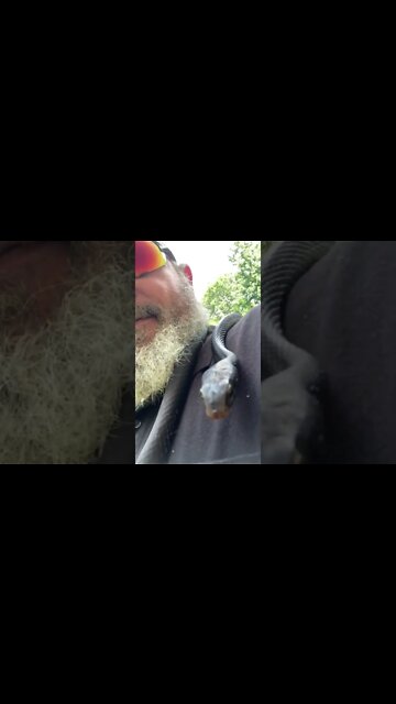 Now he wants to be friends