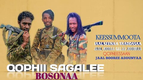 Jaal Seenaa Taaddasaa fi Jaal Jooraa Galaa Joobiraa, Keessummoota Qophii Sagalee Bosonaa