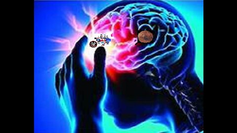 On est bête!