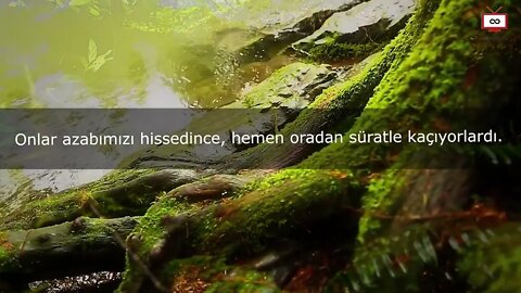 HER DERDE DEVA OLACAK O SURE / (ENBİYA SURESİ)