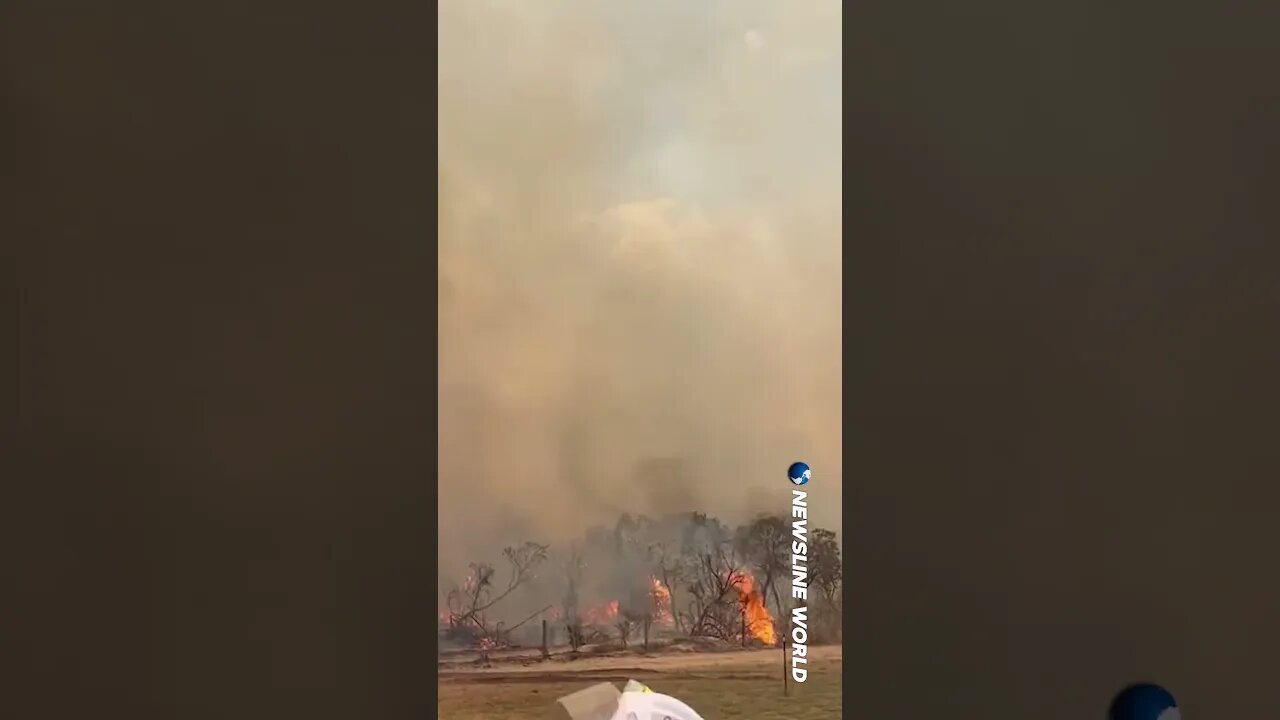 Relief payments underway after "monster" bushfire contained in Western Australia