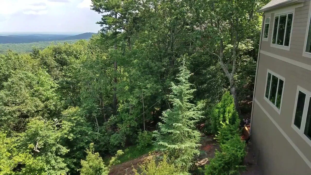 Big Canoe - Cutting a Dead Tree