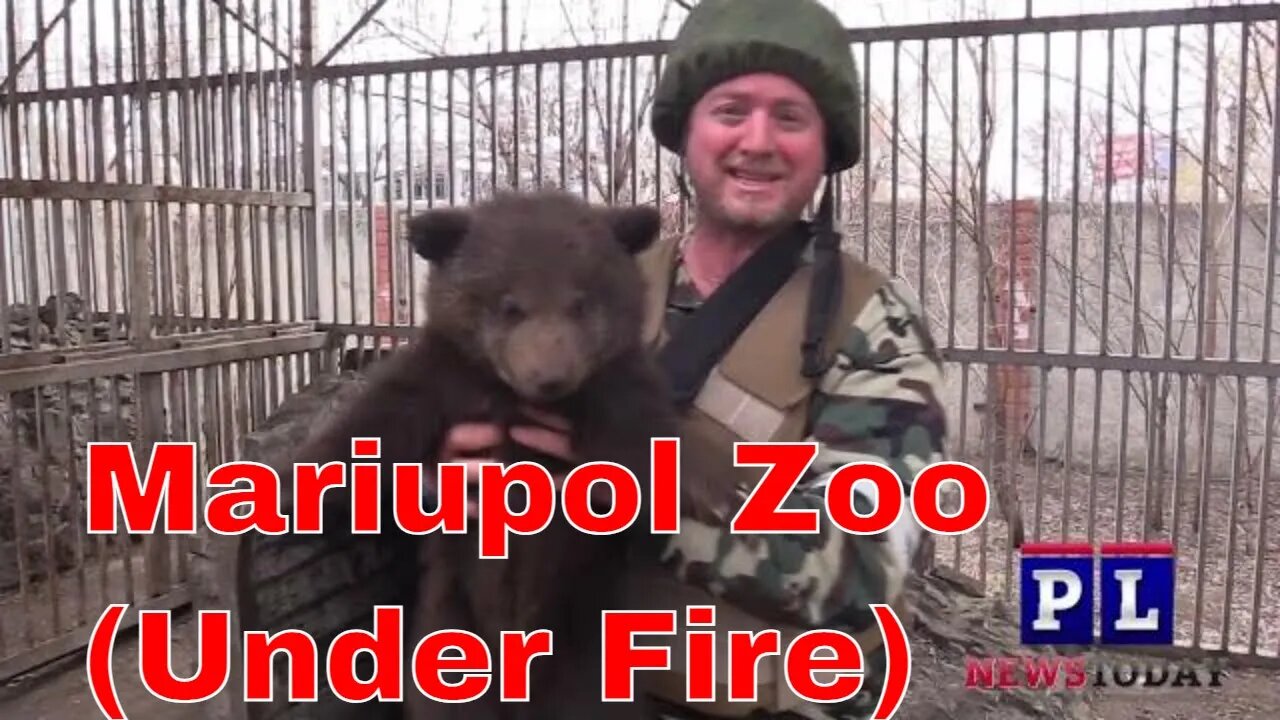 Mariupol Zoo Under Fire: Russia - Ukraine War