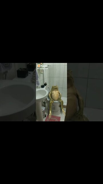 o sapo no banheiro sentado na privada #shorts
