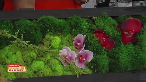 Yura Vine Brothers | Morning Blend