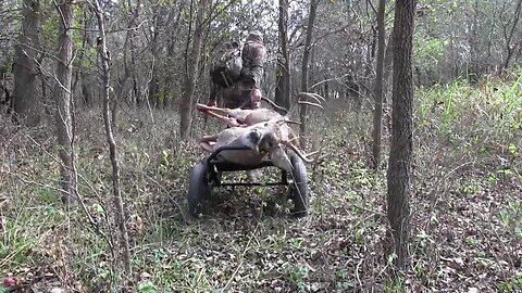 Check this OUT! Crawler Deer Cart