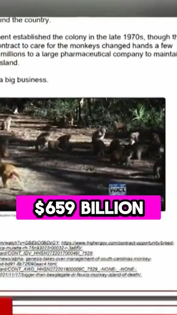 Rand Paul Discovers Multi-Million Dollar Fauci Monkey Island