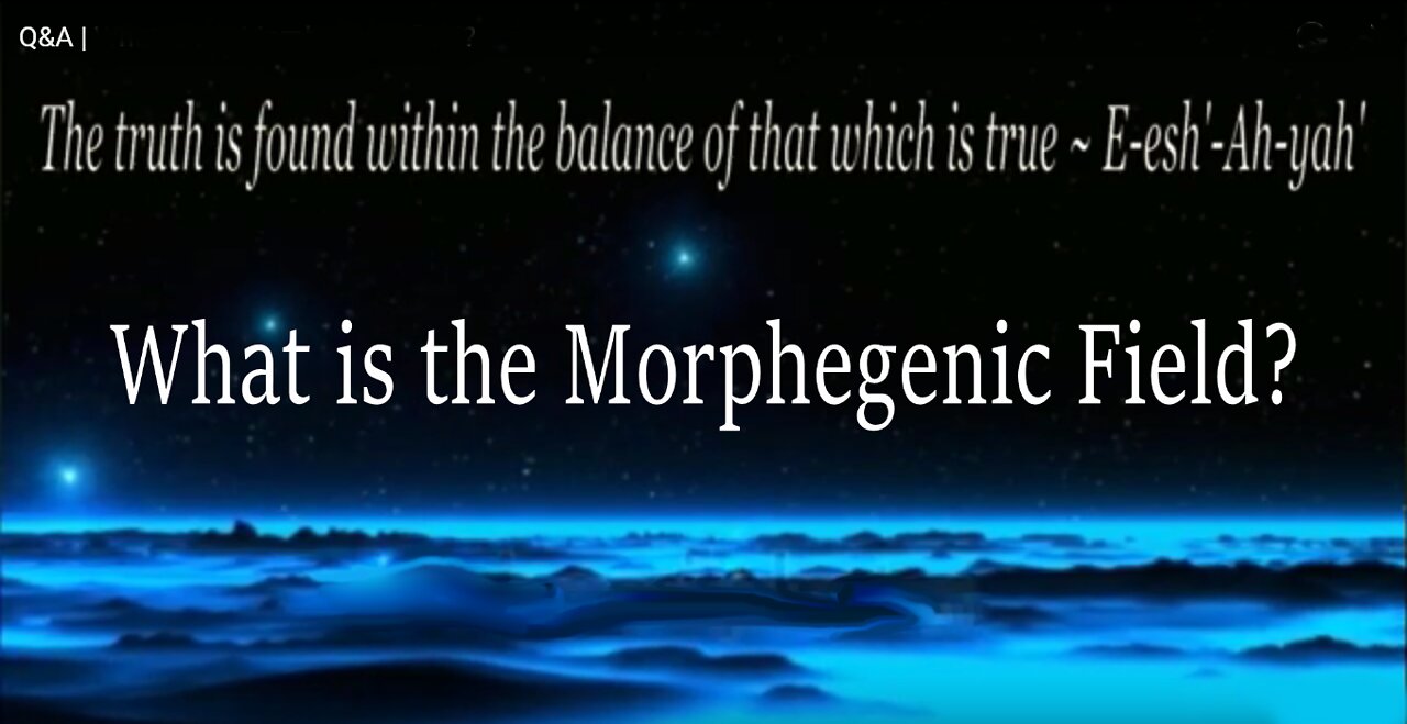 Q&A | What is the Morphegenic field?