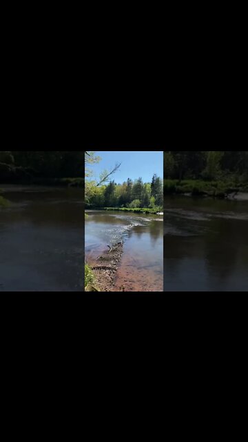 Peaceful water flowing down the river