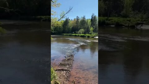Peaceful water flowing down the river