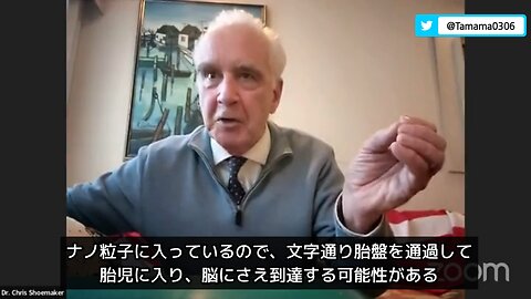 コロワクのナノ粒子は胎児の脳にも到達しうる