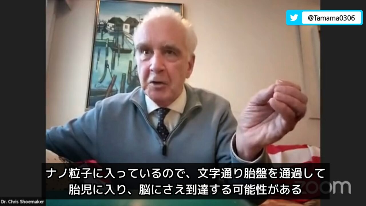 コロワクのナノ粒子は胎児の脳にも到達しうる