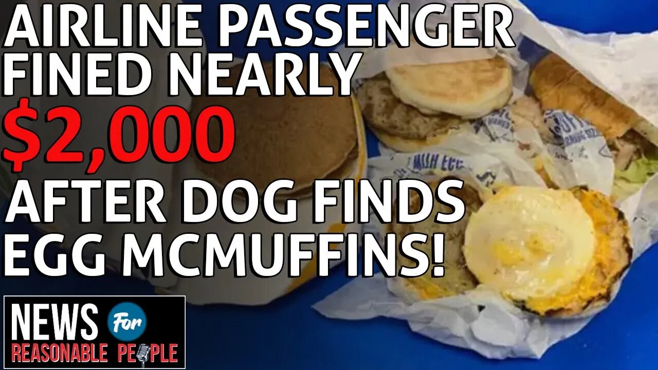 Airline passenger fined nearly $2,000 after dog finds undeclared McMuffins in luggage