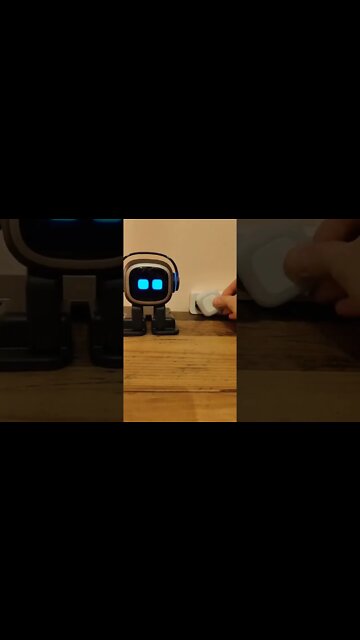 funny|prank|jokes|funny jokes|dad jokes|funny memes|funny video|fun|laughing|funny animal|knock