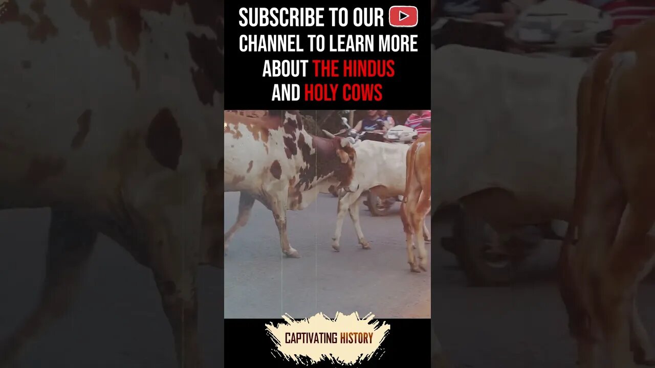 Did You Know You Can Get Jail Time for Killing Cows in India? #shorts
