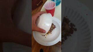 upside down chili cheese fries