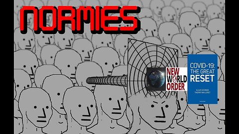 How Normies View The New World Order & Great Reset