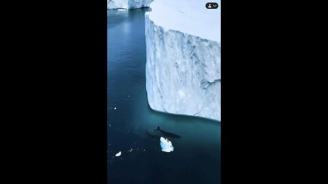 ANTARCTICA IS HIGHER THAN ANY OTHER CONTINENT.
