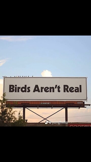 Birds aren’t real these days